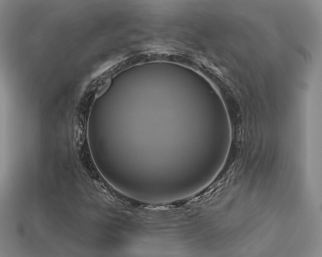 X0000113231303200909101203
