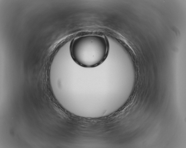 X0000113231304200909101203