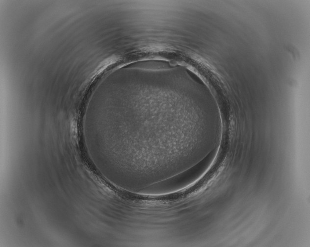 X0000113231305200909101203
