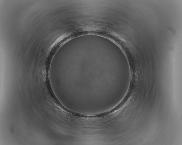 X0000113231306200909101203