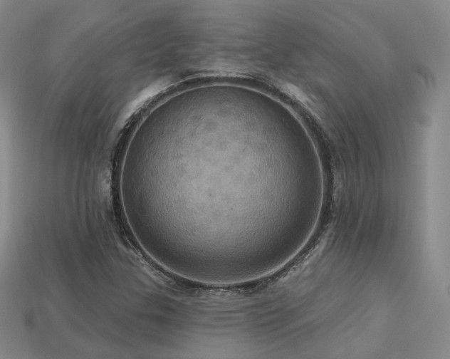 X0000113231307200909101203
