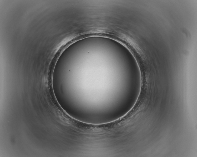 X0000113231308200909101203