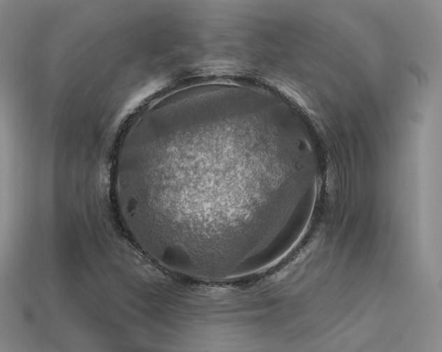 X0000113231309200909101203