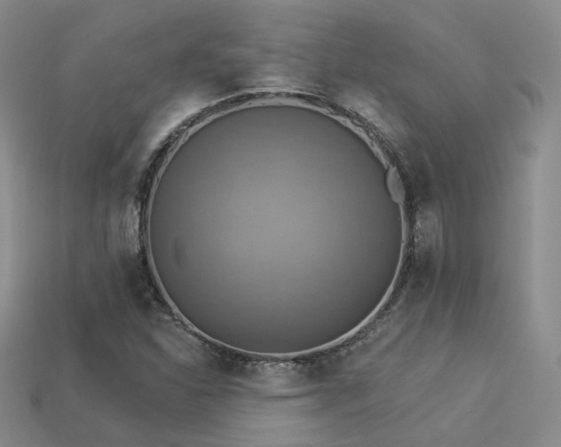 X0000113231310200909101203