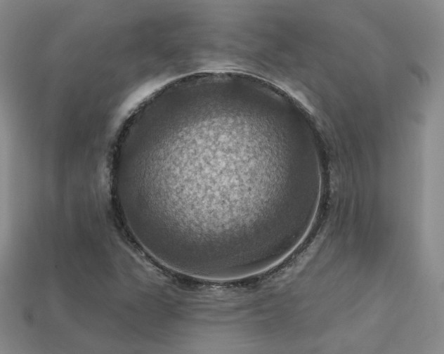 X0000113231311200909101203
