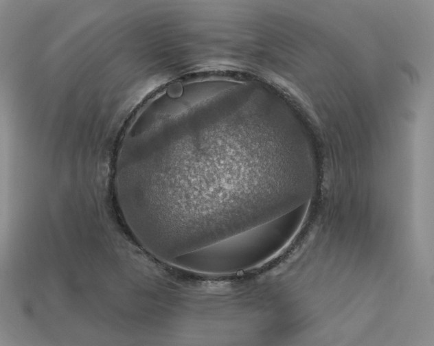 X0000113231313200909101203
