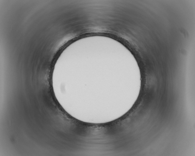 X0000113231314200909101203