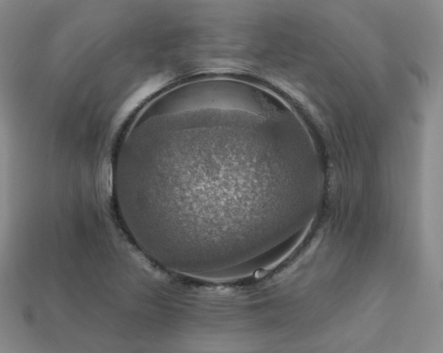 X0000113231317200909101203