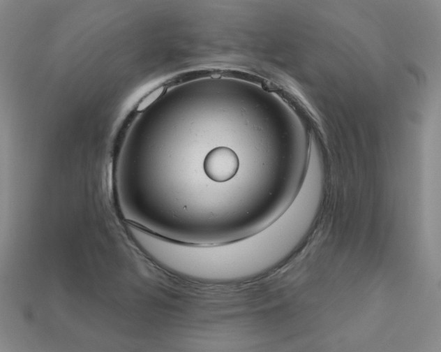 X0000113231320200909101203