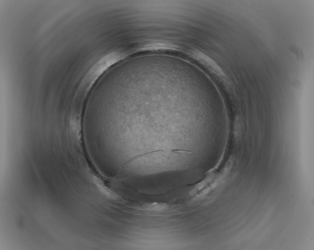 X0000113231321200909101203