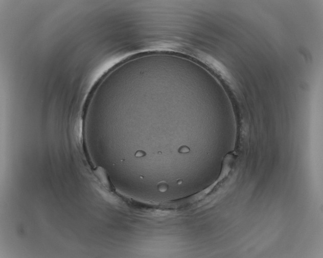 X0000113231324200909101203