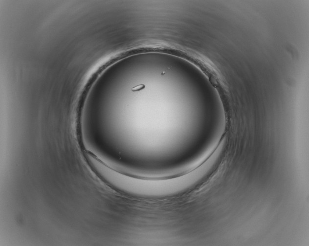 X0000113231326200909101203