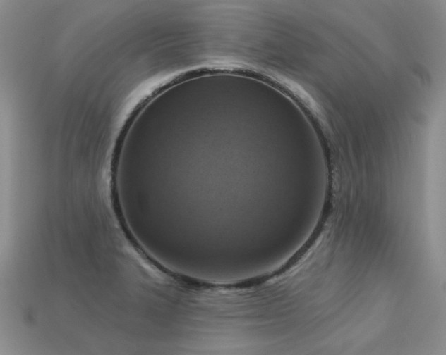 X0000113231327200909101203