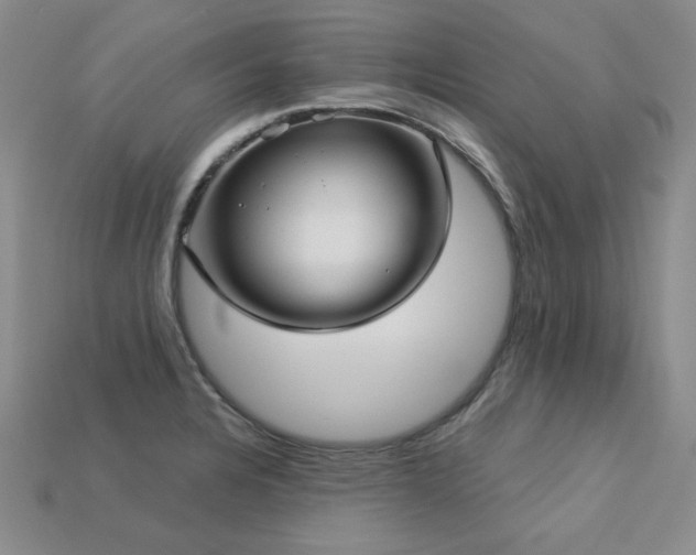 X0000113231328200909101203