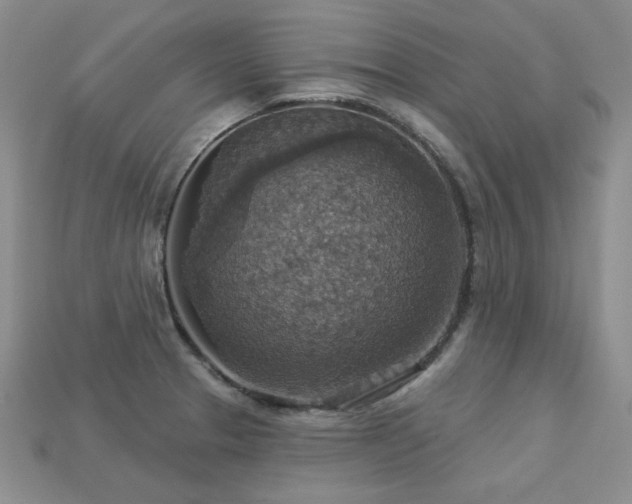 X0000113231329200909101203