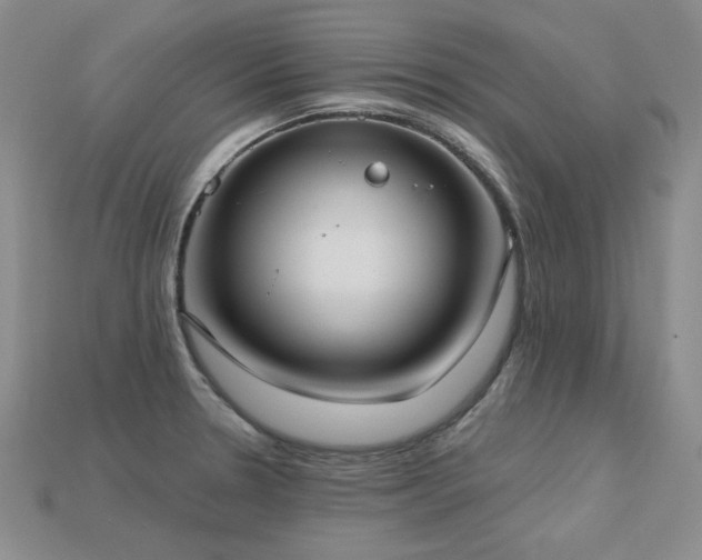 X0000113231330200909101203