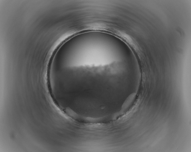 X0000113231331200909101203