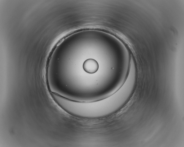 X0000113231334200909101203