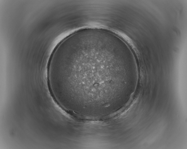 X0000113231335200909101203