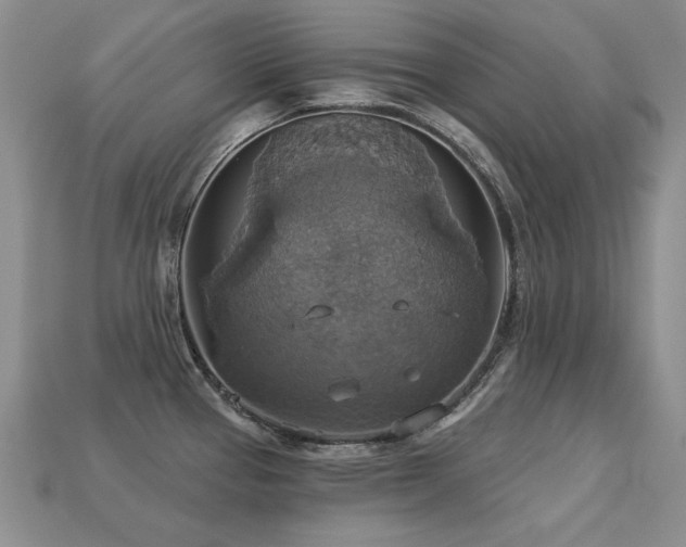 X0000113231337200909101203