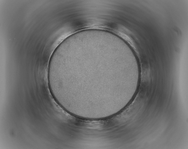 X0000113231338200909101203
