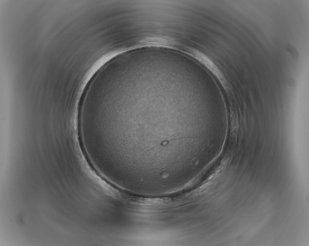 X0000113231339200909101203