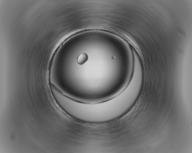 X0000113231340200909101203