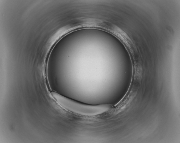 X0000113231342200909101203