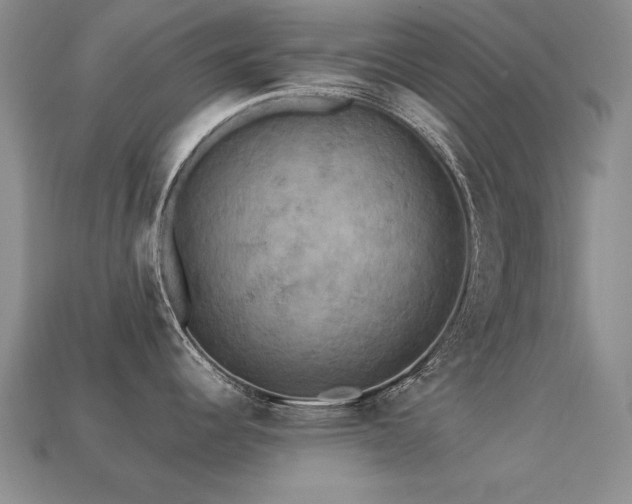 X0000113231344200909101203