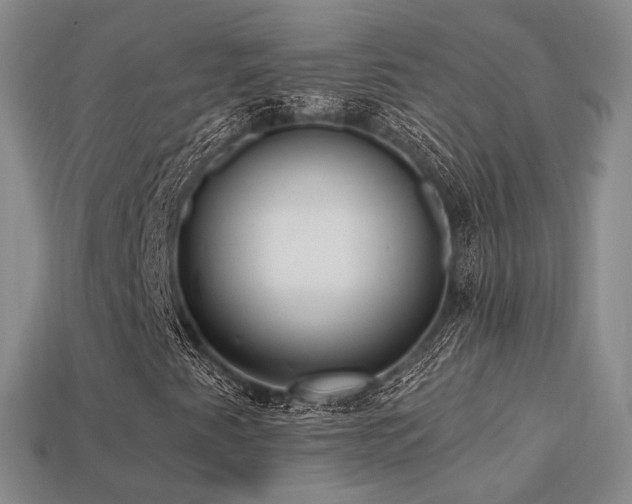 X0000113231345200909101202