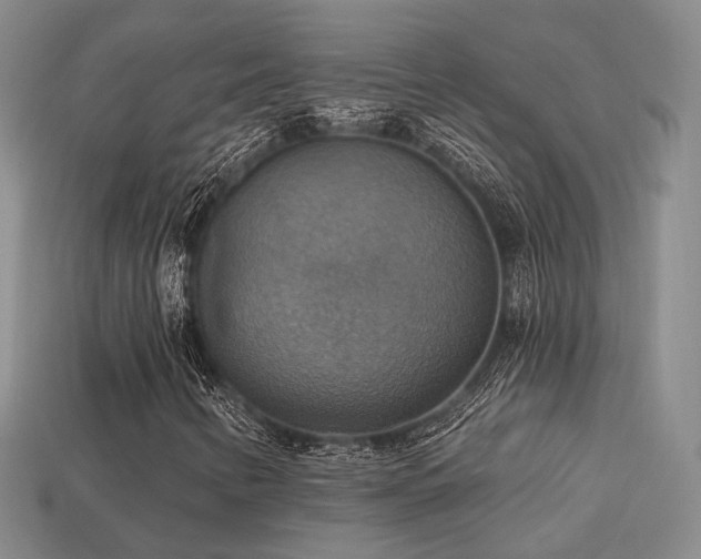 X0000113231346200909101202