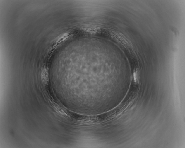 X0000113231347200909101202