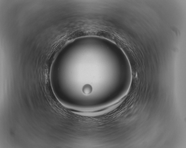X0000113231348200909101202