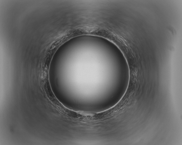 X0000113231349200909101202