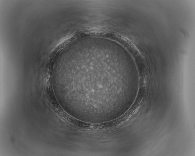 X0000113231350200909101202