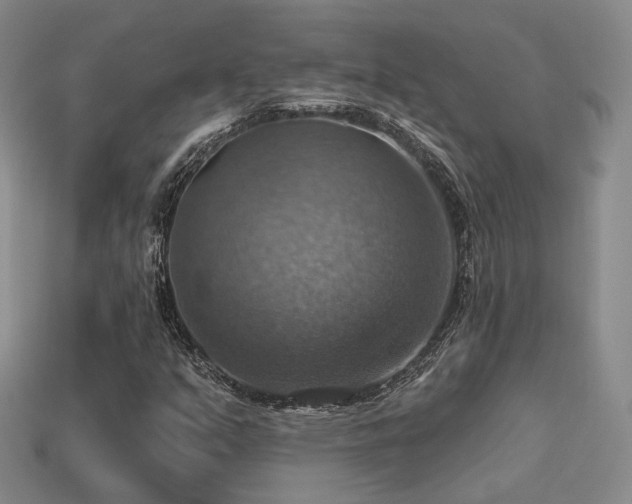 X0000113231351200909101202