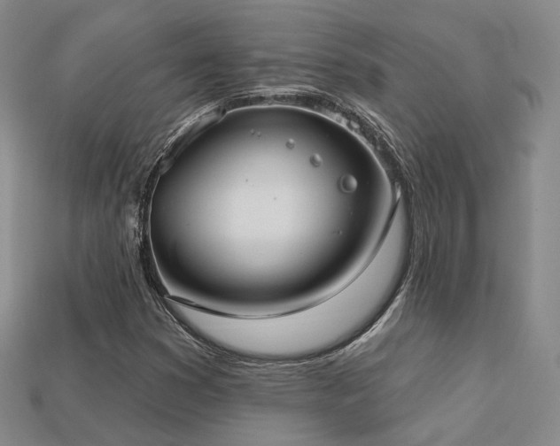 X0000113231353200909101202