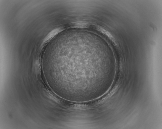 X0000113231354200909101202