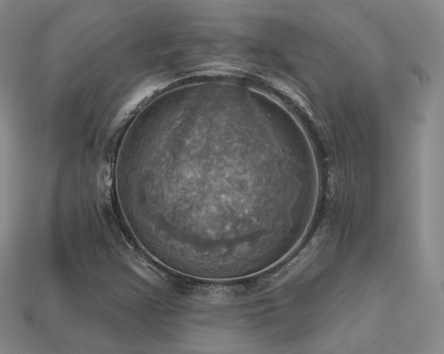 X0000113231355200909101202