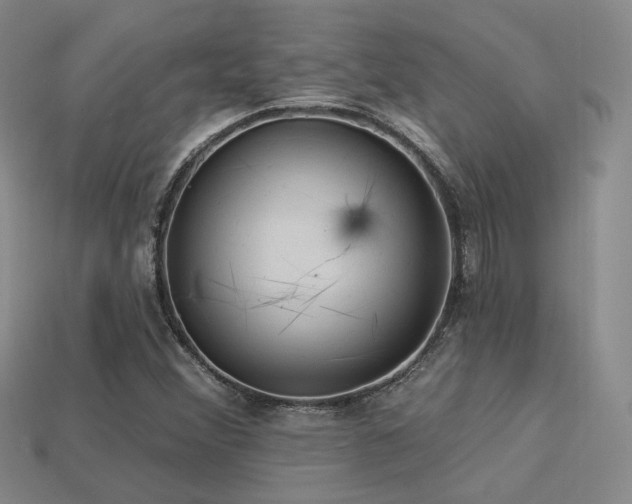 X0000113231356200909101202
