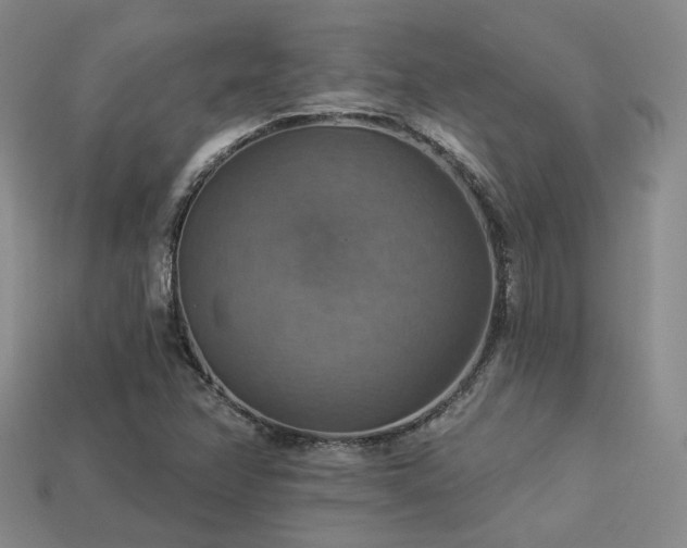 X0000113231358200909101202