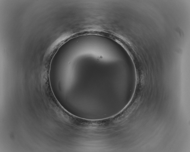 X0000113231359200909101202