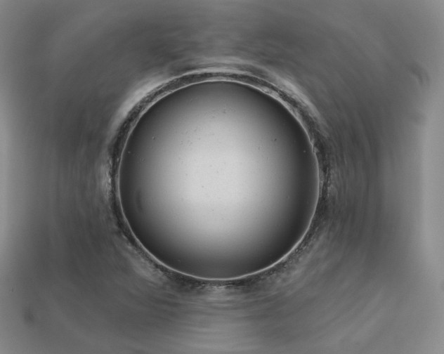 X0000113231360200909101202