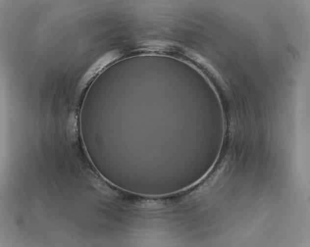 X0000113231362200909101202