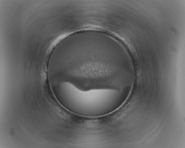 X0000113231363200909101202