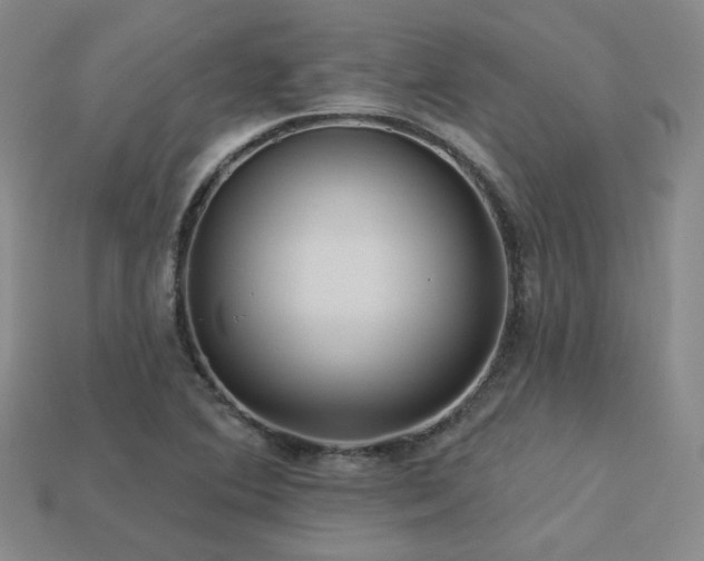 X0000113231364200909101202