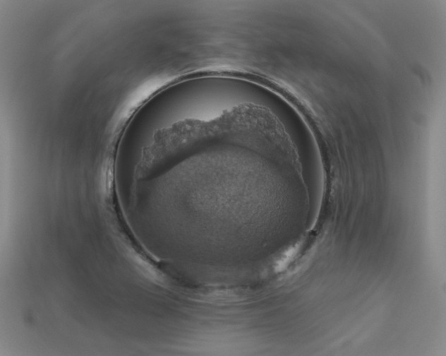X0000113231367200909101202