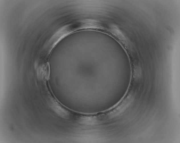 X0000113231369200909101202