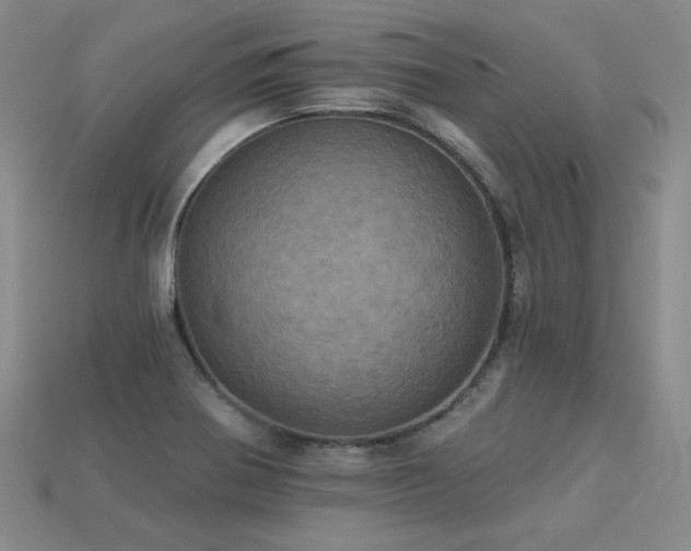 X0000113231370200909101202