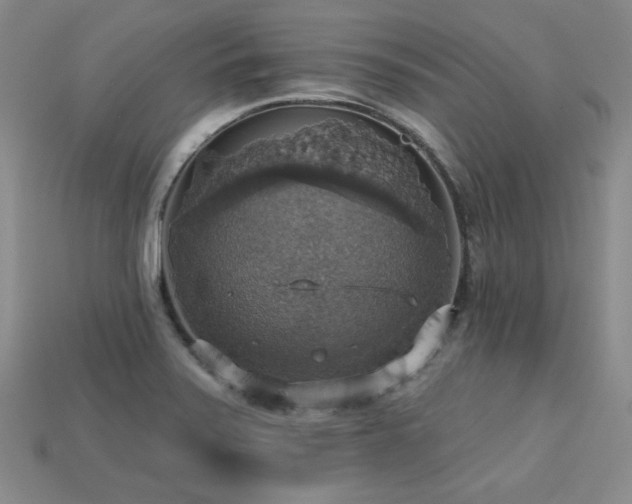 X0000113231371200909101202